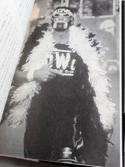 Hulk Hogan  Autobiography Hollywood Hulk Hogan