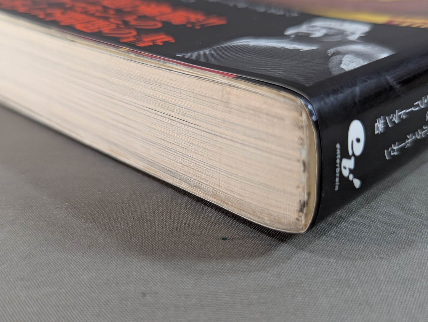 Hulk Hogan  Autobiography Hollywood Hulk Hogan