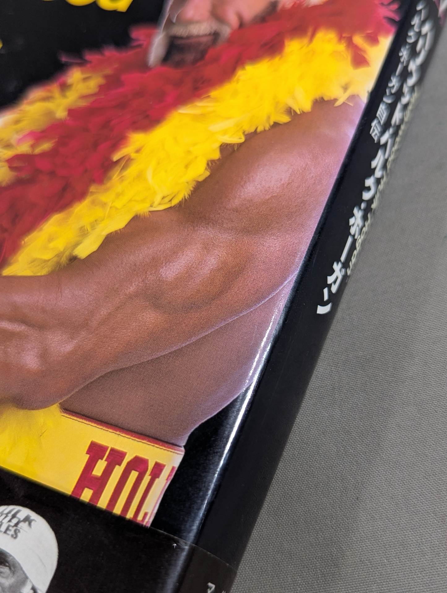 Hulk Hogan  Autobiography Hollywood Hulk Hogan