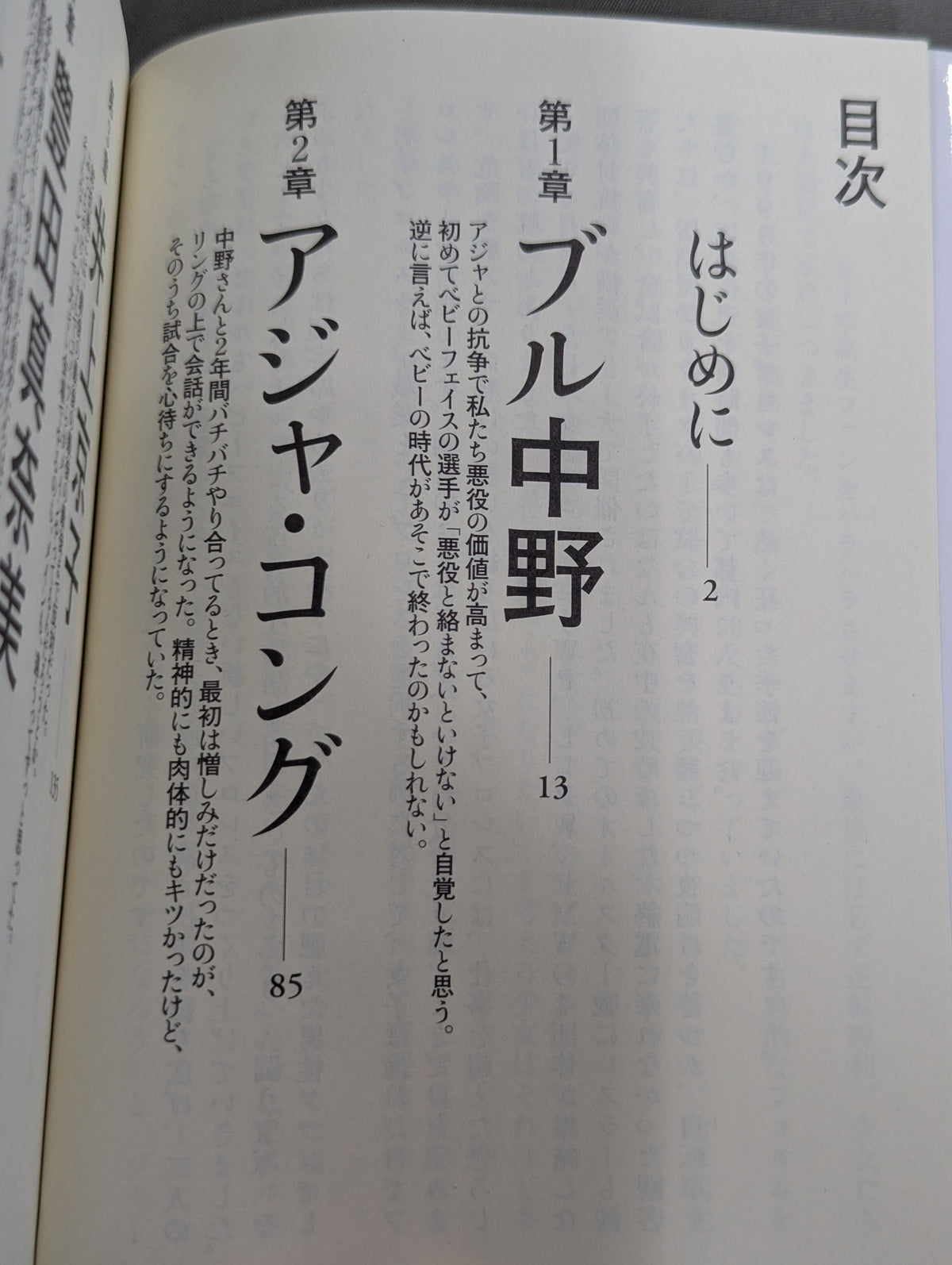 1993年の女子プロレス