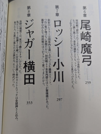 1993年の女子プロレス