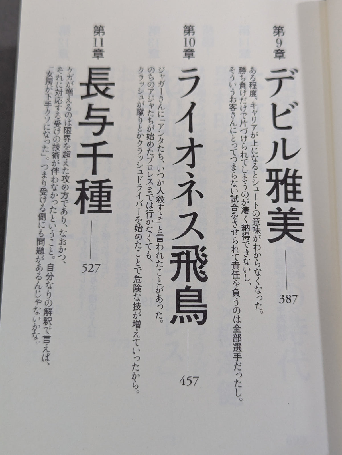1993年の女子プロレス