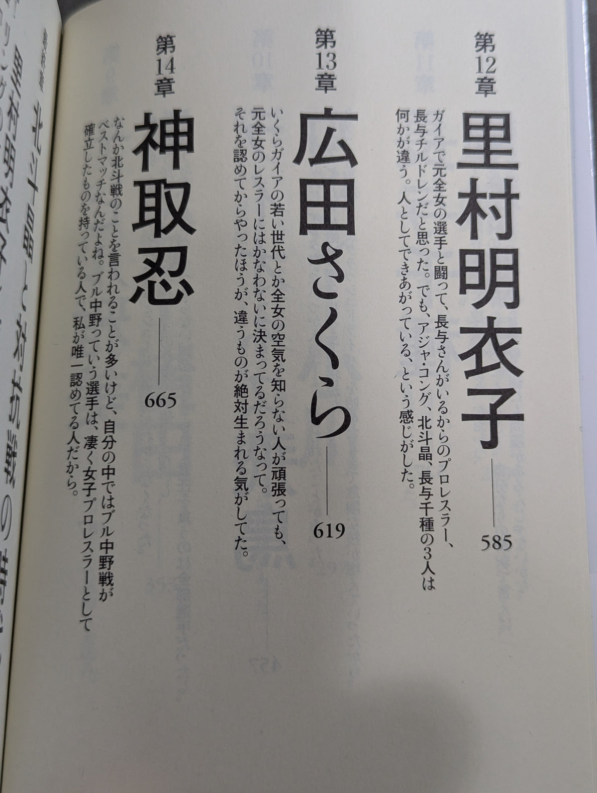 1993年の女子プロレス