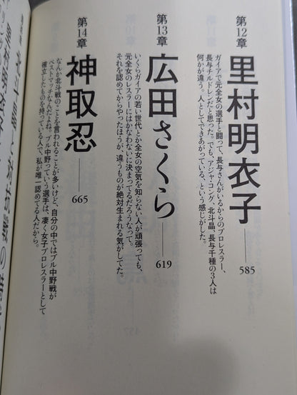 1993年の女子プロレス
