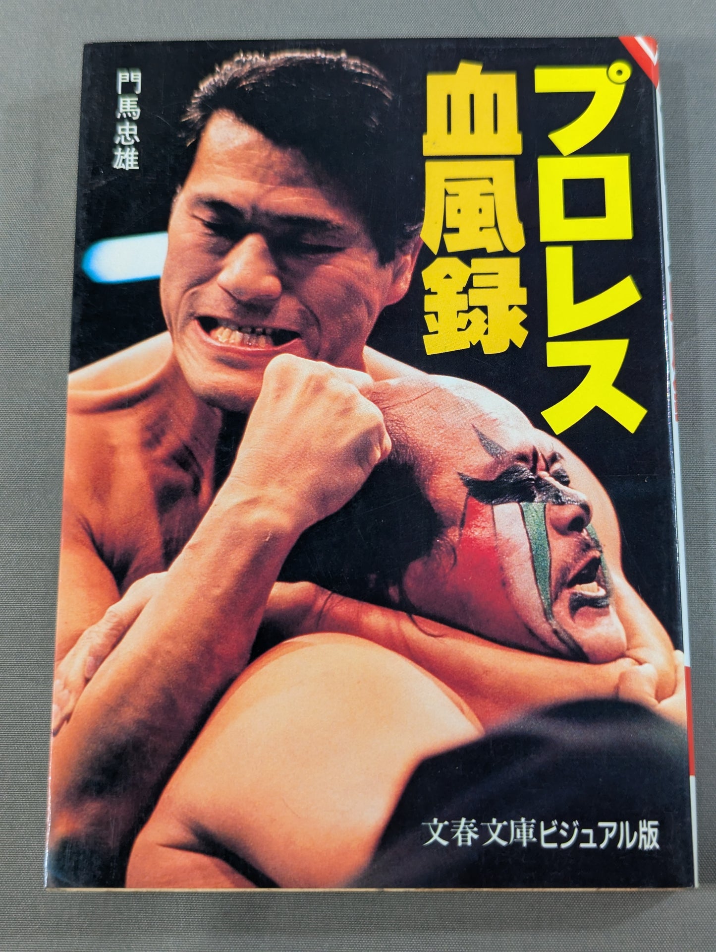 Pro Wrestling