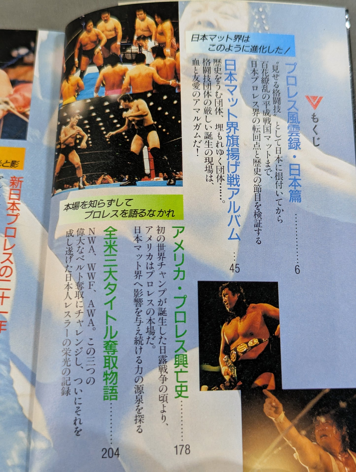 Pro Wrestling