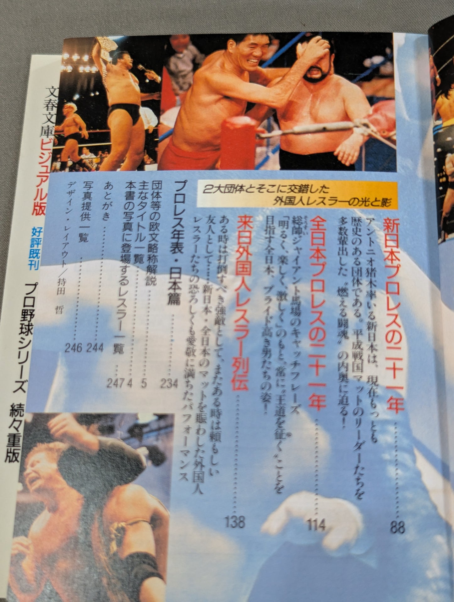 Pro Wrestling