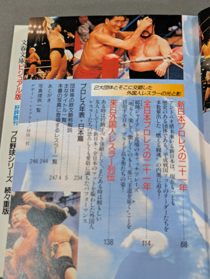 Pro Wrestling