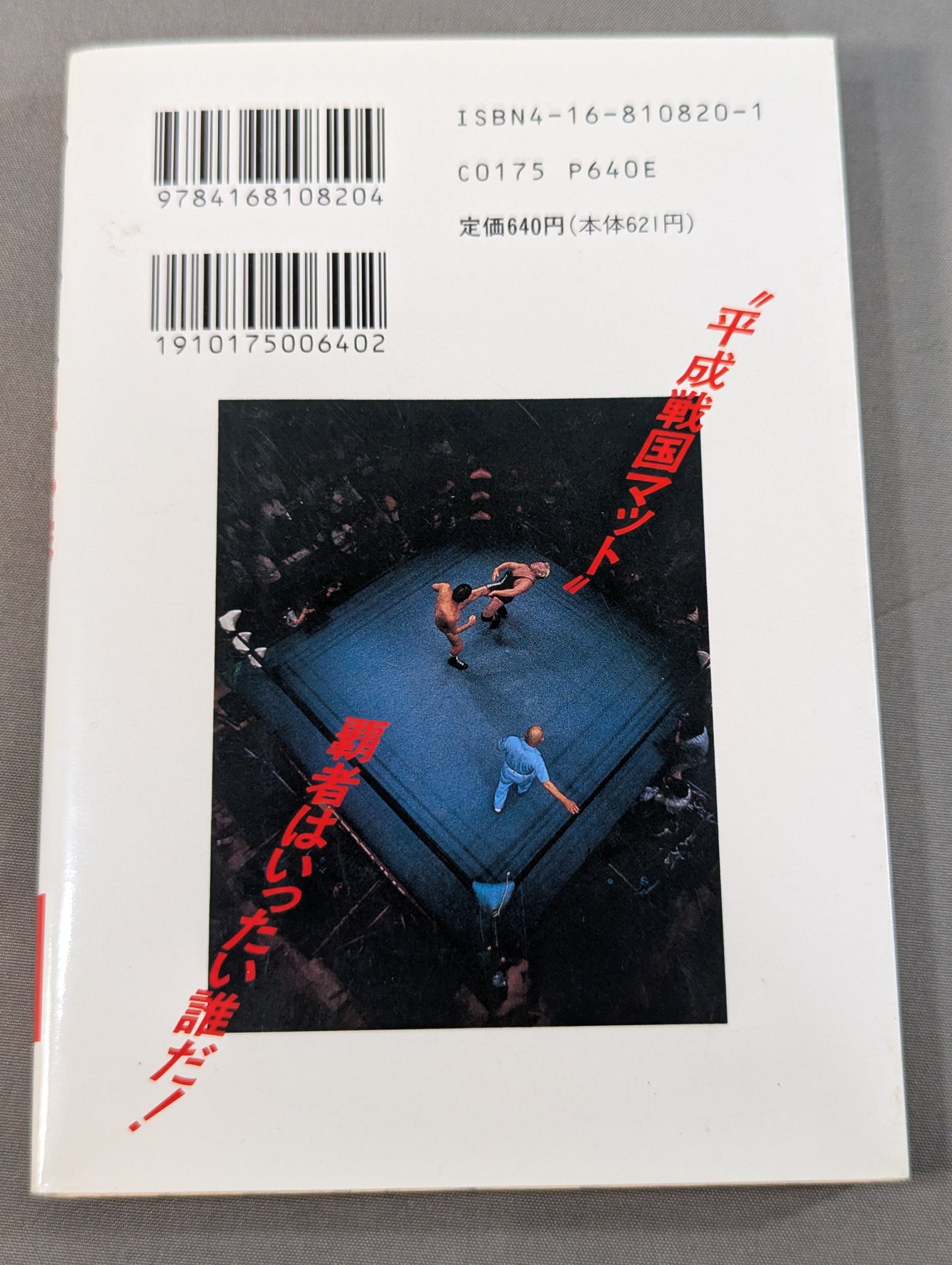 Pro Wrestling