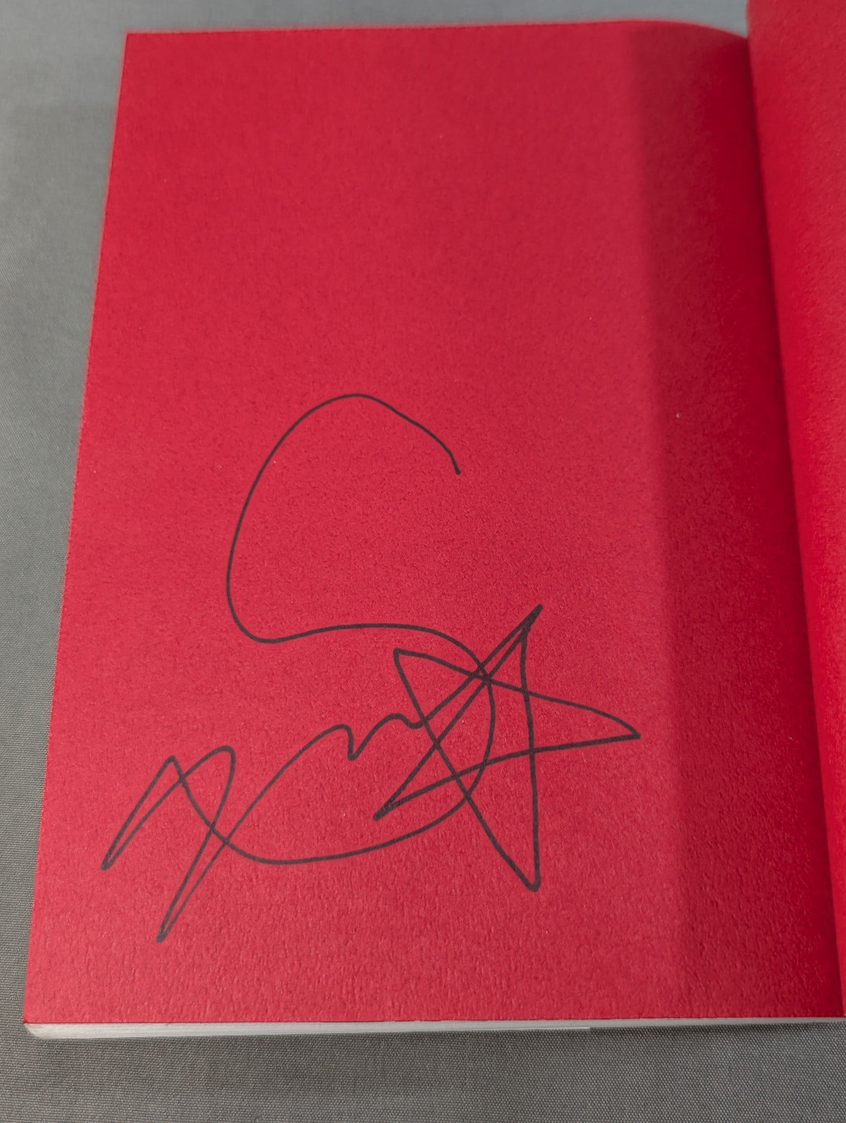 【Hand signed autograph】Zhu Li . Those who have seen the pinnacle of Pro Wrestling , kicking and mixed martial arts