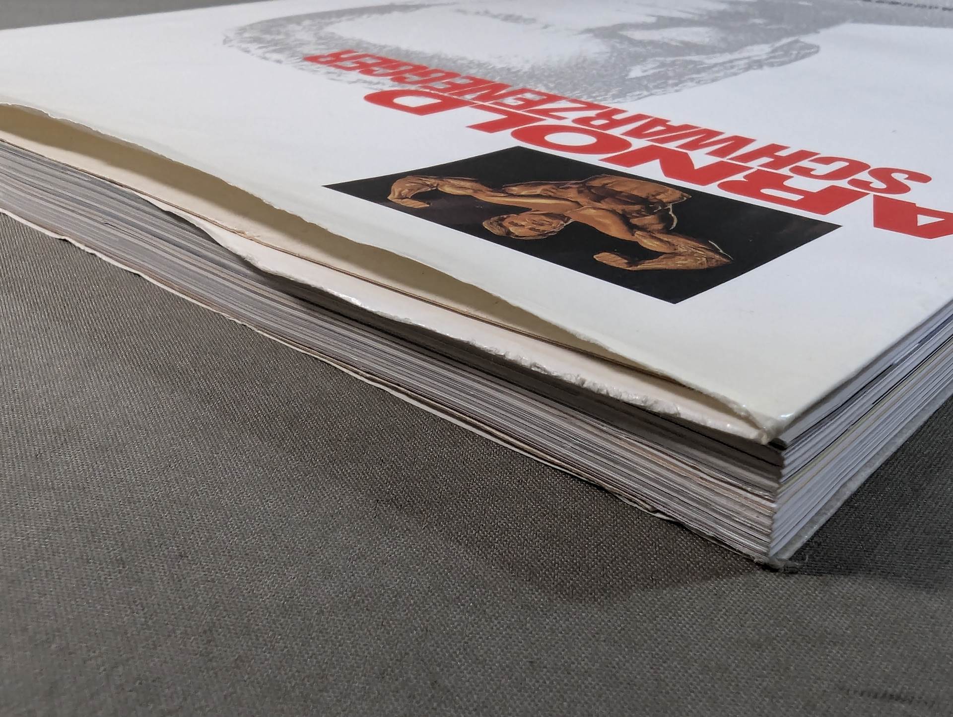 アーノルド・シュワルツェネッガー 筋肉の神話 – 闘道館