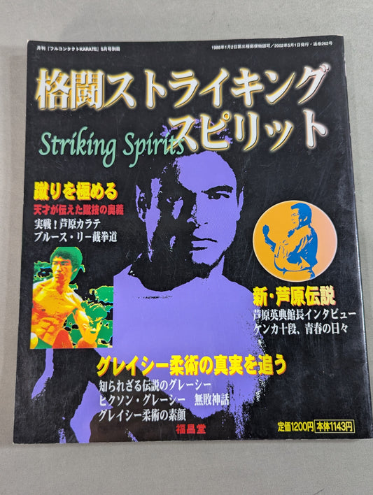格闘ストライキング・スピリット