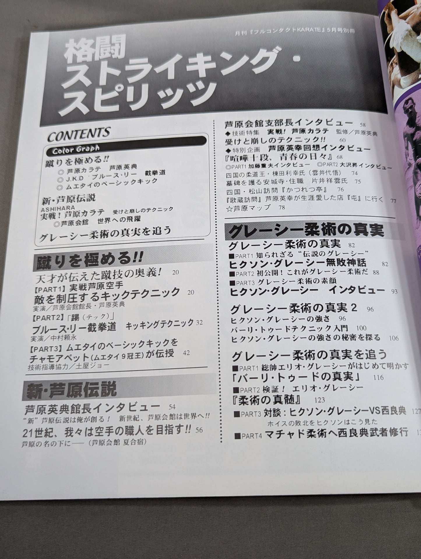 Fighting Striking Spirit