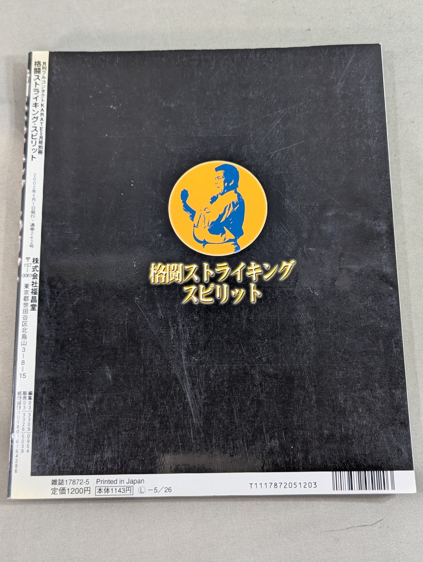 Fighting Striking Spirit