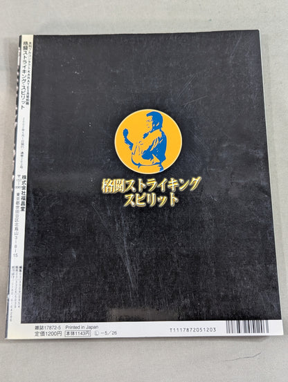 Fighting Striking Spirit