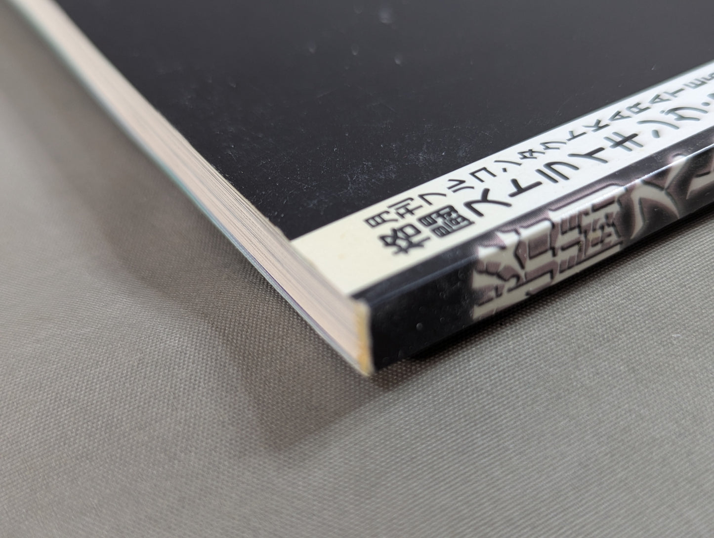 Fighting Striking Spirit