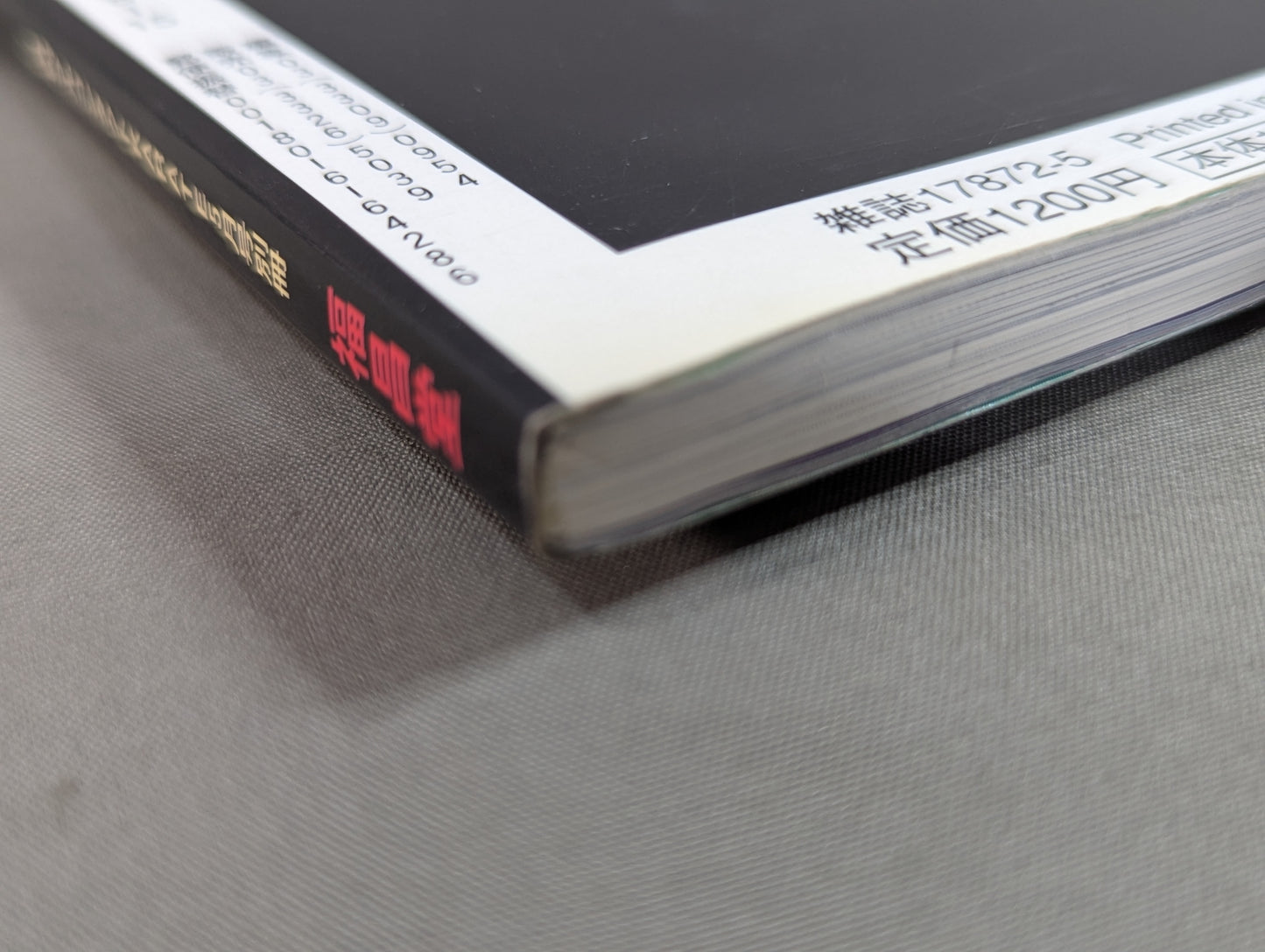 Fighting Striking Spirit