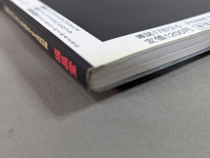 Fighting Striking Spirit