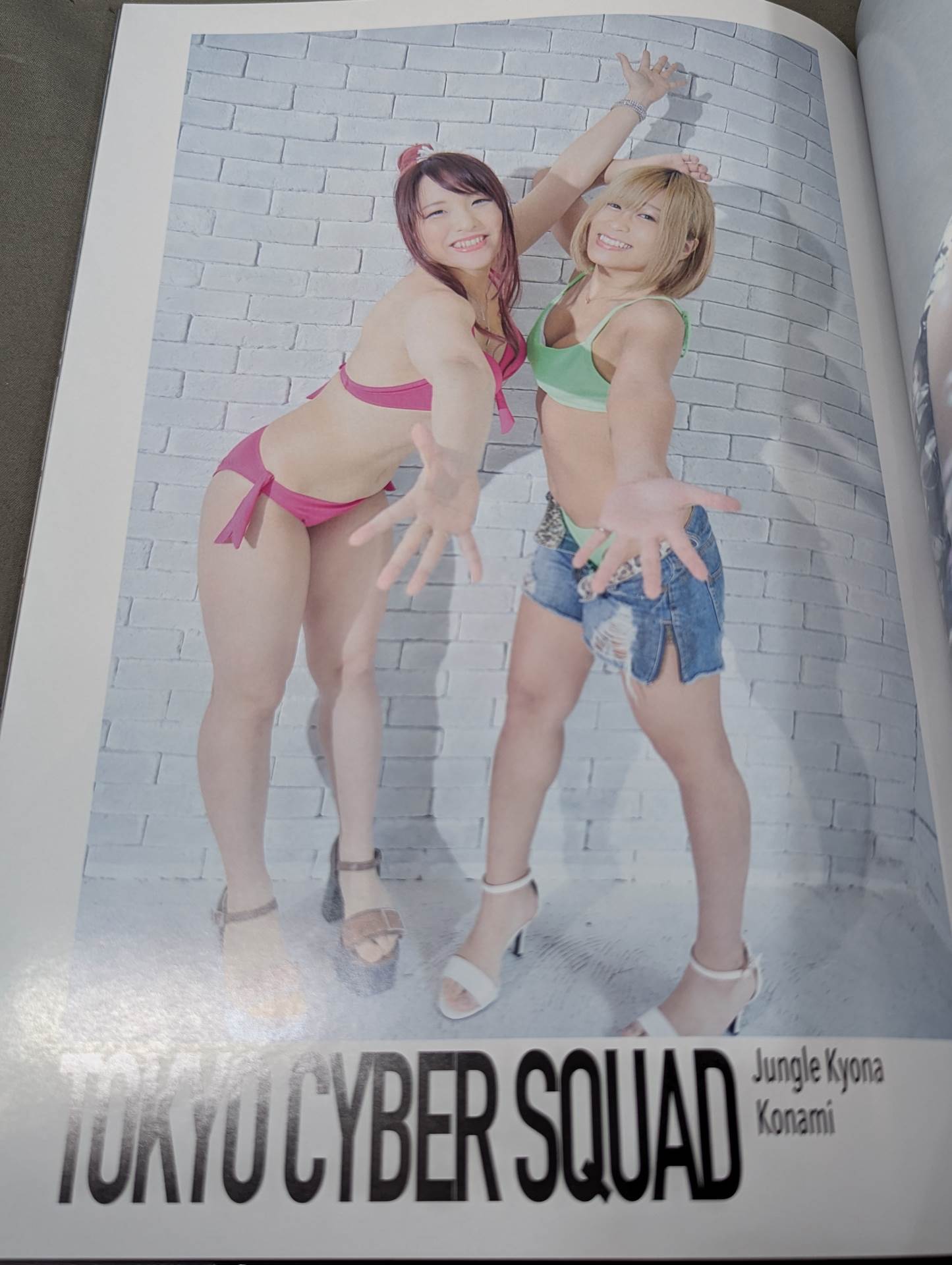 STARDOM VISUAL BOOK Bikiniing 9