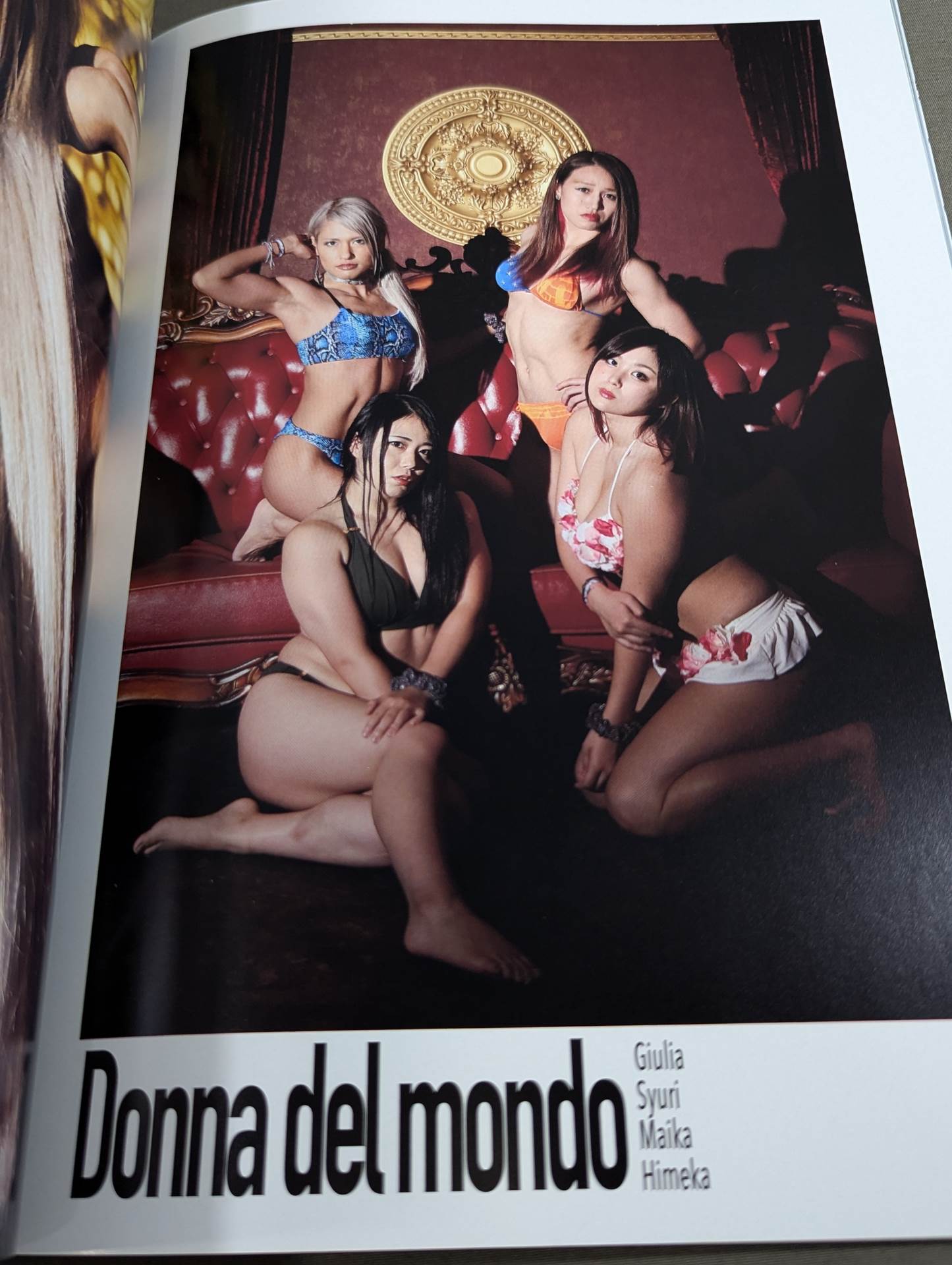 STARDOM VISUAL BOOK Bikiniing 9
