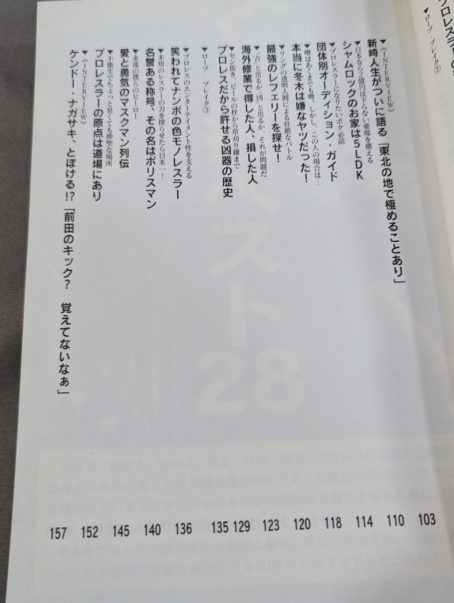 マニアが忘れた悦楽 気持ちいいプロレス