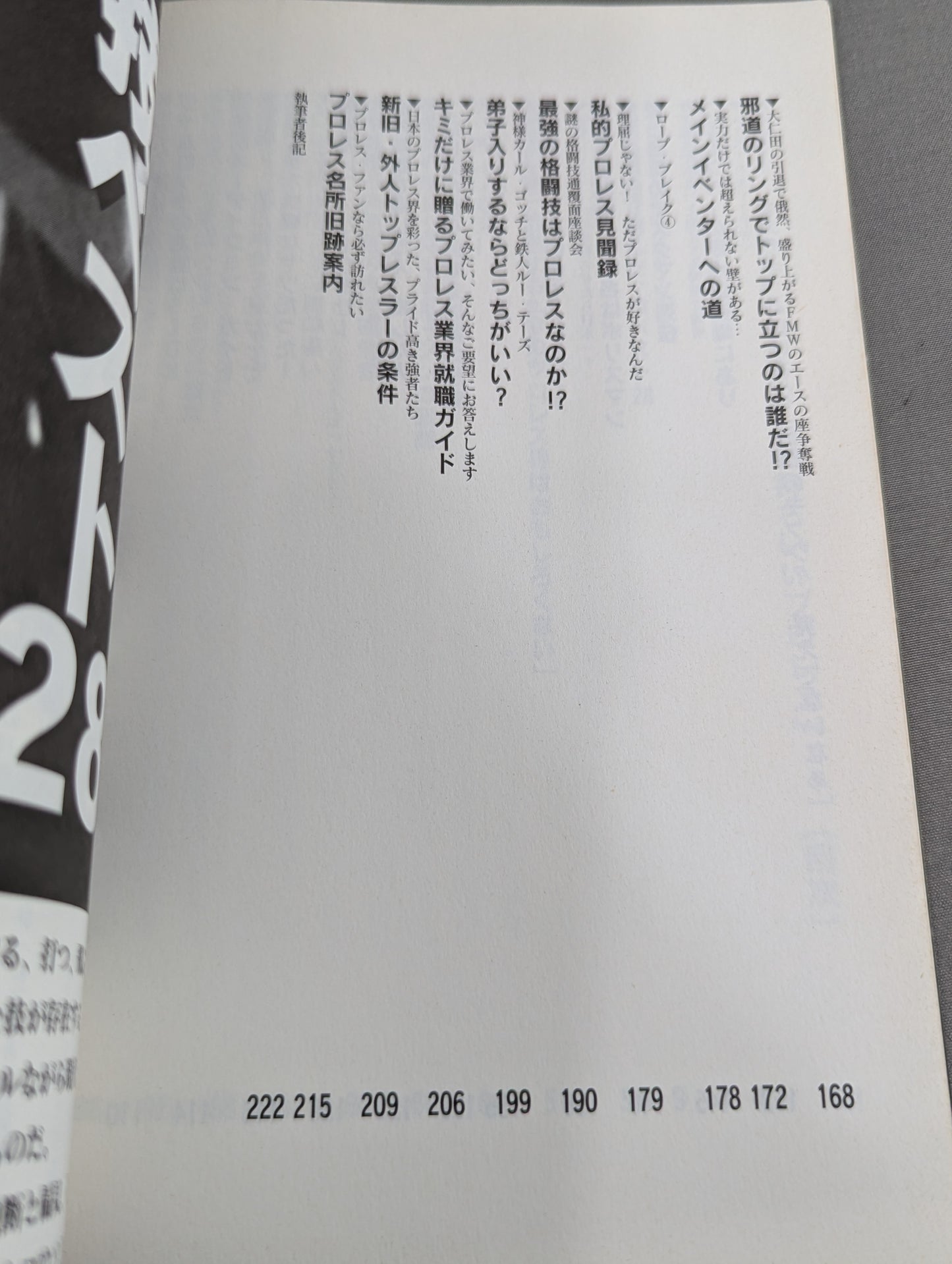 マニアが忘れた悦楽 気持ちいいプロレス