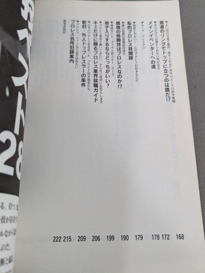 マニアが忘れた悦楽 気持ちいいプロレス