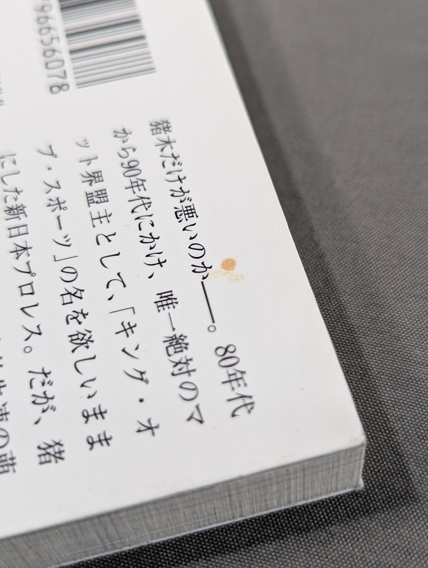 新日本プロレス｢崩壊｣の真相