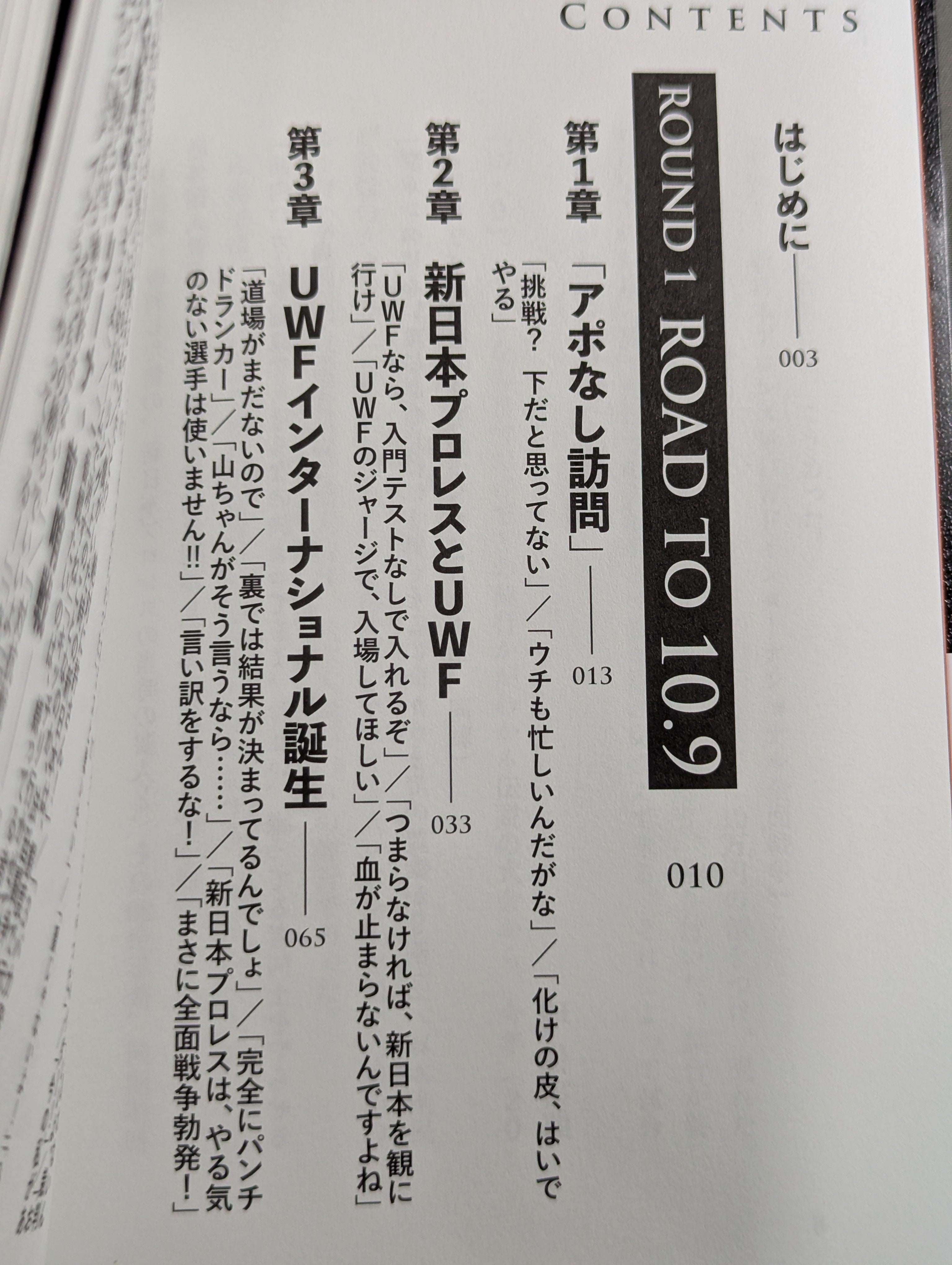 10.9 プロレスのいちばん熱い日 新日本プロレスvsUWF
