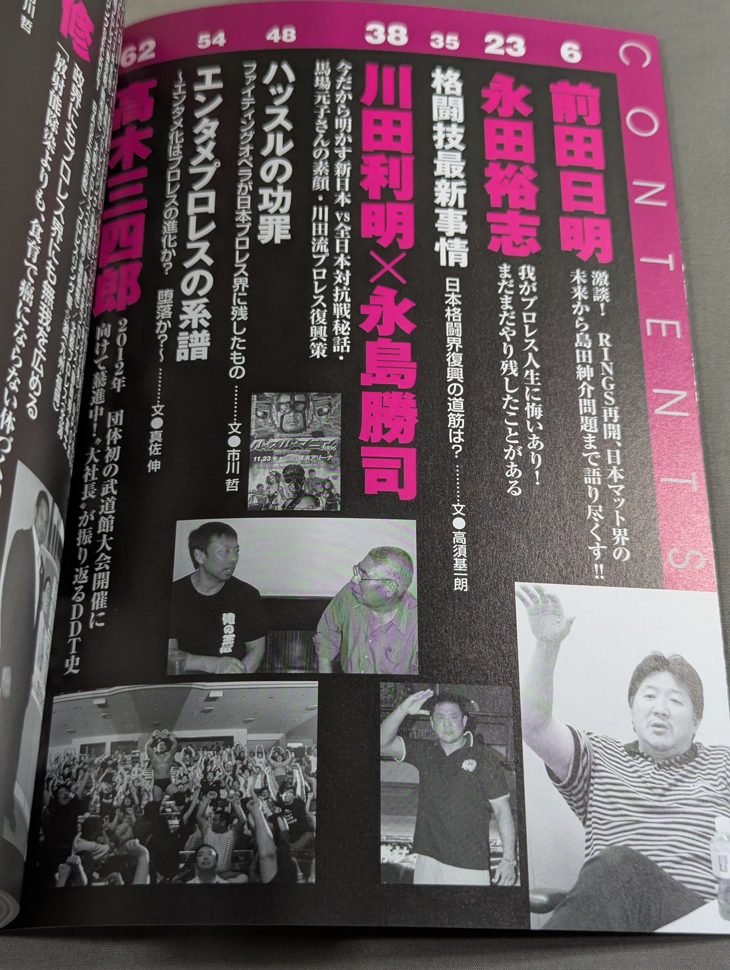 プロレス復興支援   プロレス不況は人災だ！今こそ復興支援のとき！