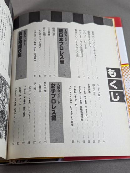 大人のプロレス入門  真夜中のハーリー&レイス
