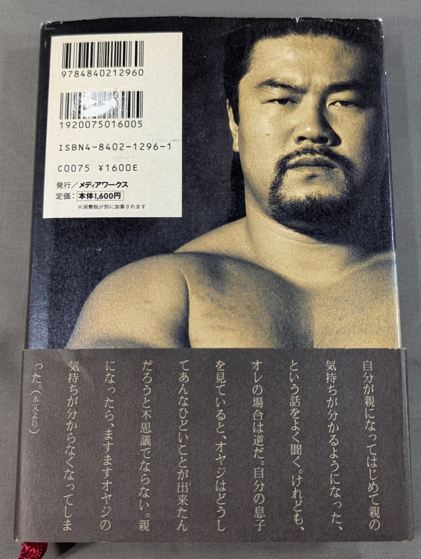 光を掴め! 佐々木健介自叙伝