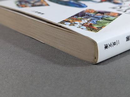 格闘技 マンガ、アニメ、ゲーム、ノベル 99の謎