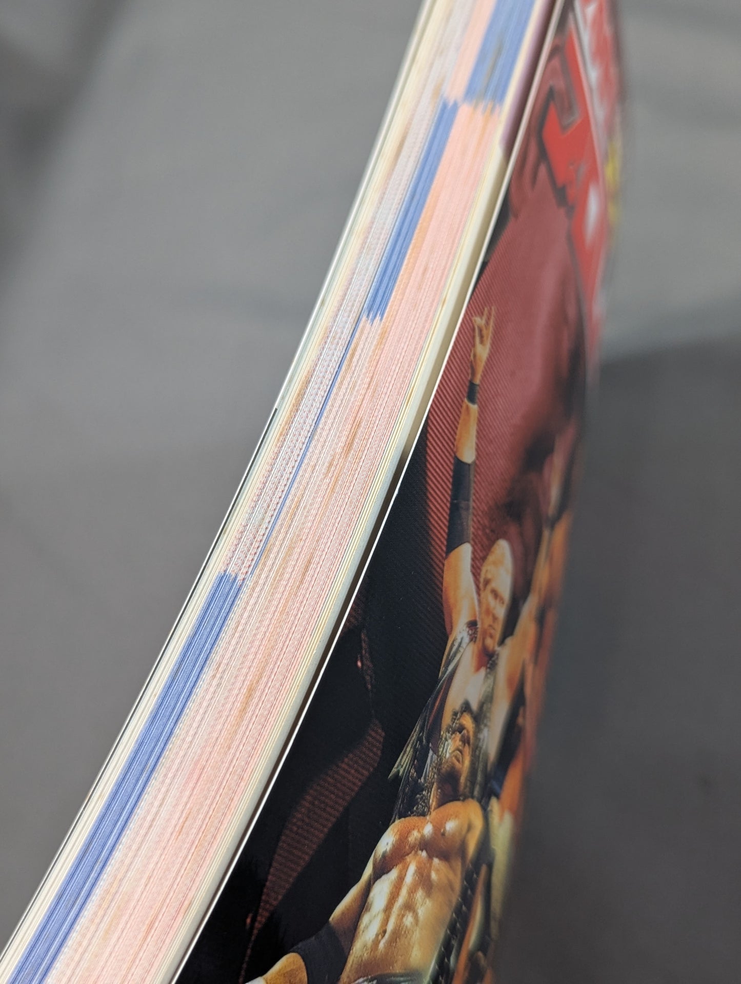 2001 Gong Pro Wrestling  Directory