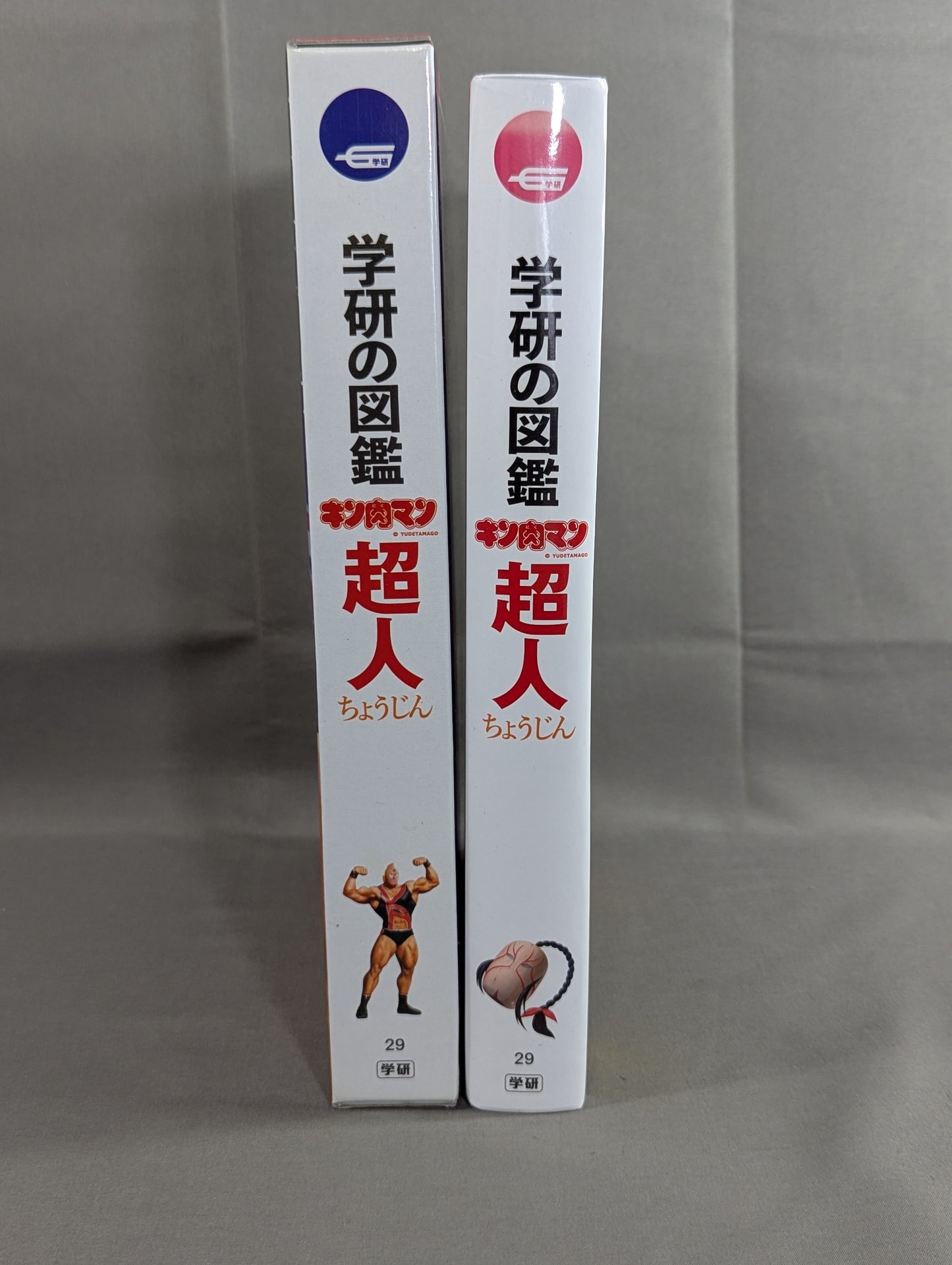 ★ Limited First Edition Case Edition ★ Gakken Encyclopedia Kinnikuman Superhuman
