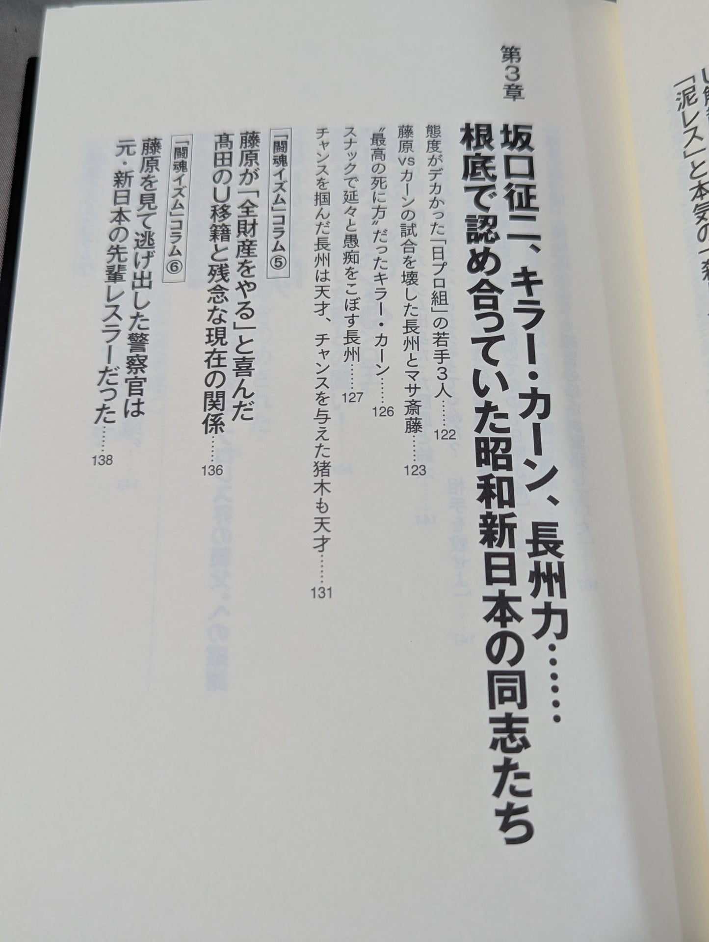 I'll die for Inoki !2 Requiem for the inheritors of "Fighting Spirit-ism"