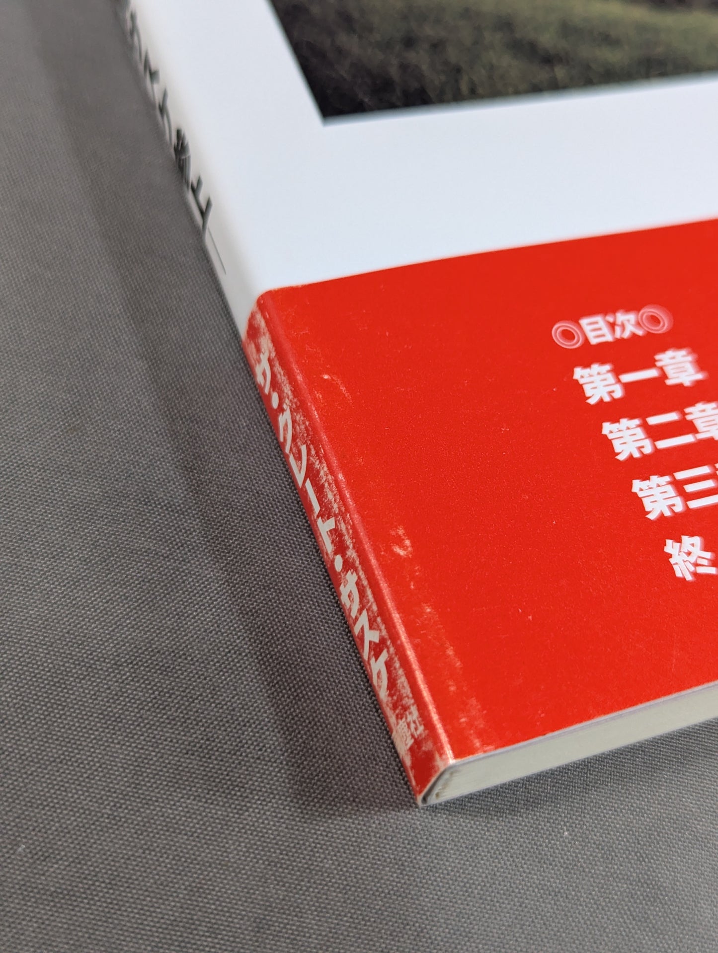 【直筆サイン入り】岩手発､未来へ -覆面議員サスケ参上-