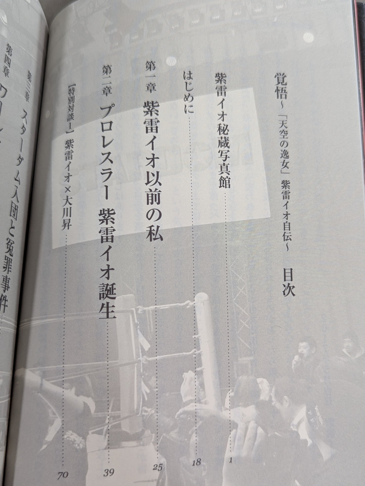 Determination ~Autobiography Io Shirai (Iyo Sky)  "Woman in the Sky"~