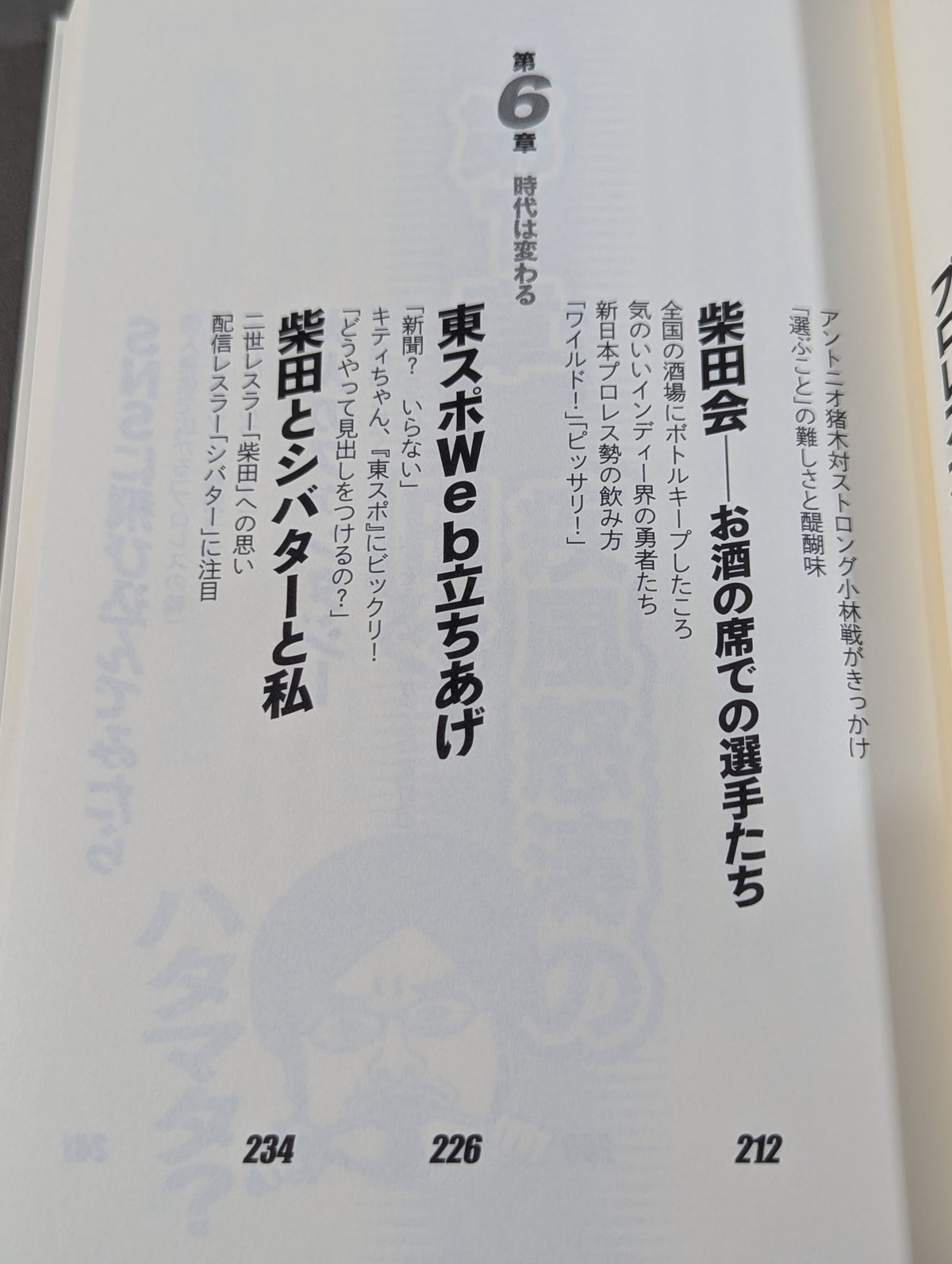 Tokyo Sports Youth Story: I learned important things from Pro Wrestling