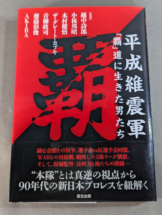 平成維震軍 「覇」道に生きた男たち