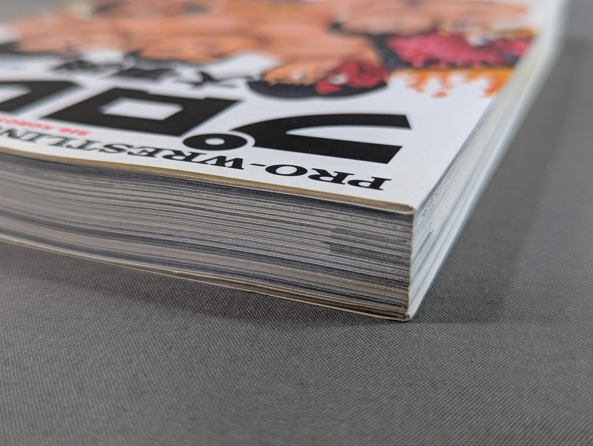 Pro Wrestling  Encyclopedia