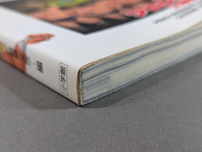 Pro Wrestling  Encyclopedia