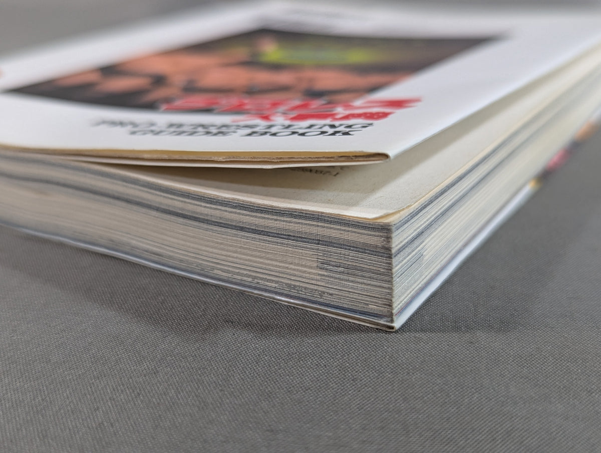 Pro Wrestling  Encyclopedia