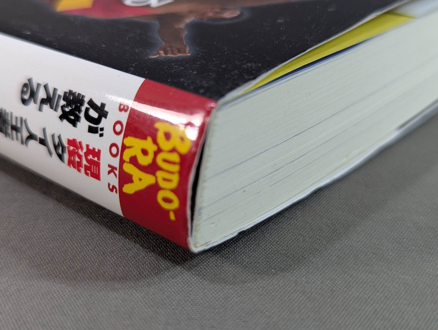 [With DVD] The current Thai champion teaches the latest Muay Thai "win" technique! ~Teaching the secrets of prime ministerial wrestling~