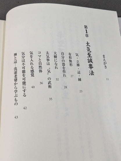 拳聖 澤井健一先生(新版)