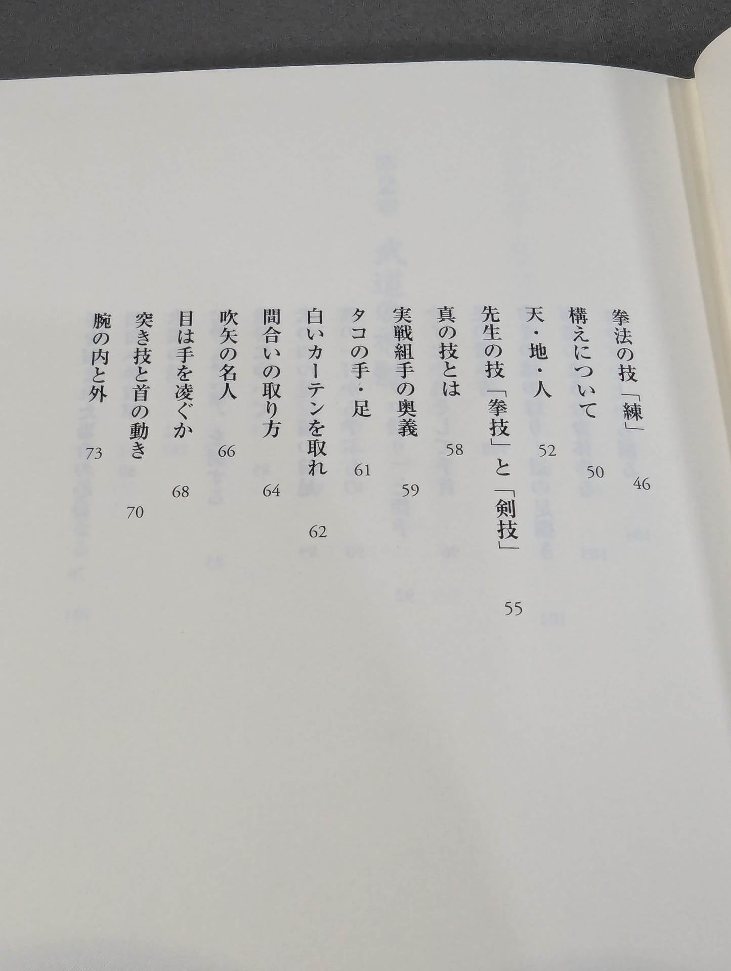 拳聖 澤井健一先生(新版)