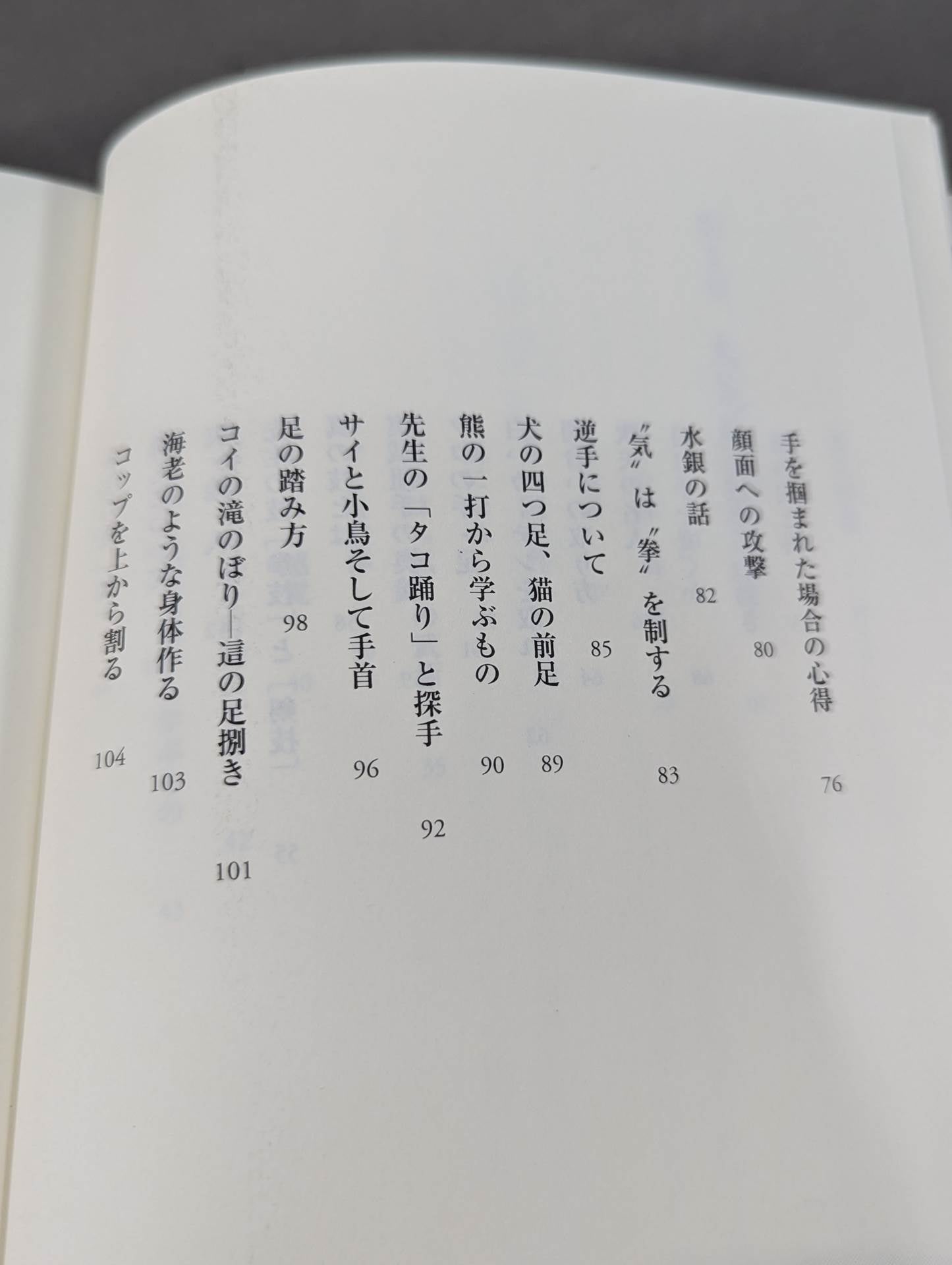 拳聖 澤井健一先生(新版)