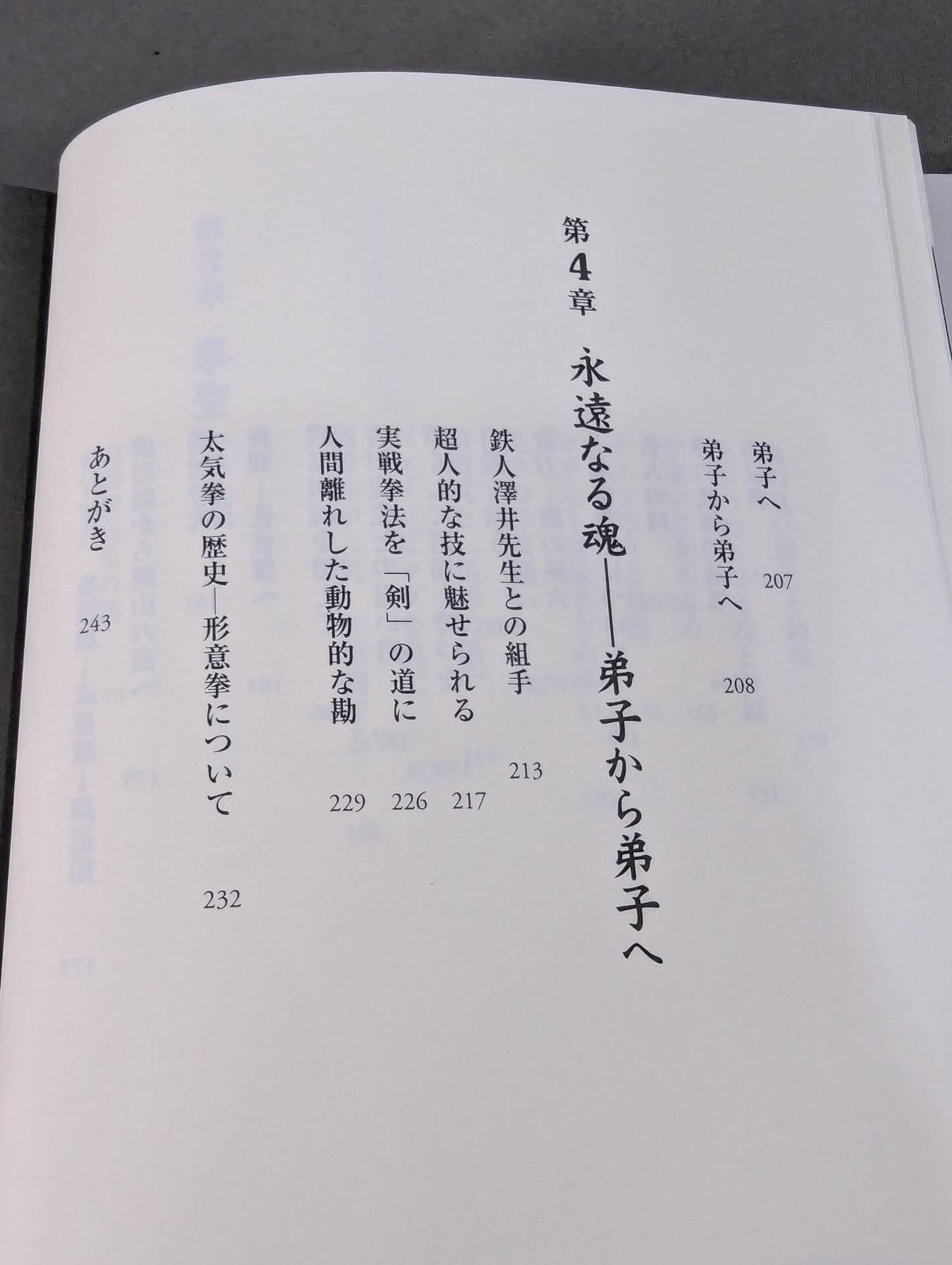拳聖 澤井健一先生(新版)