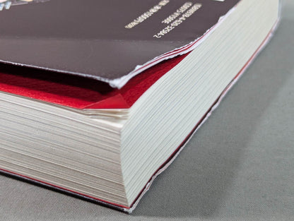 Earth-shattering!! Pro Wrestling  Interrogation Room Wandering Outlaw Edition