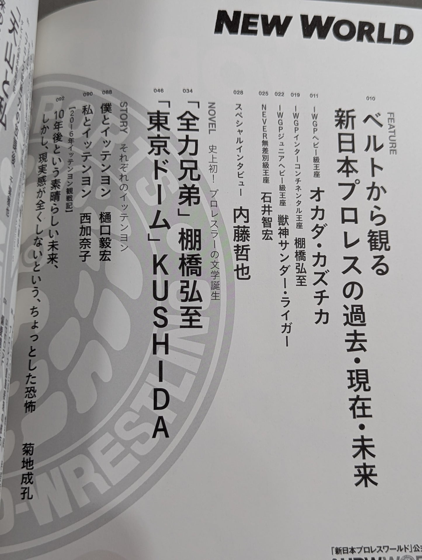 【全2冊セット】「新日本プロレスワールド」公式ブック NEW WORLD Vol.1 ＆ Vol.2